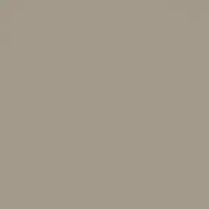 Light Taupe