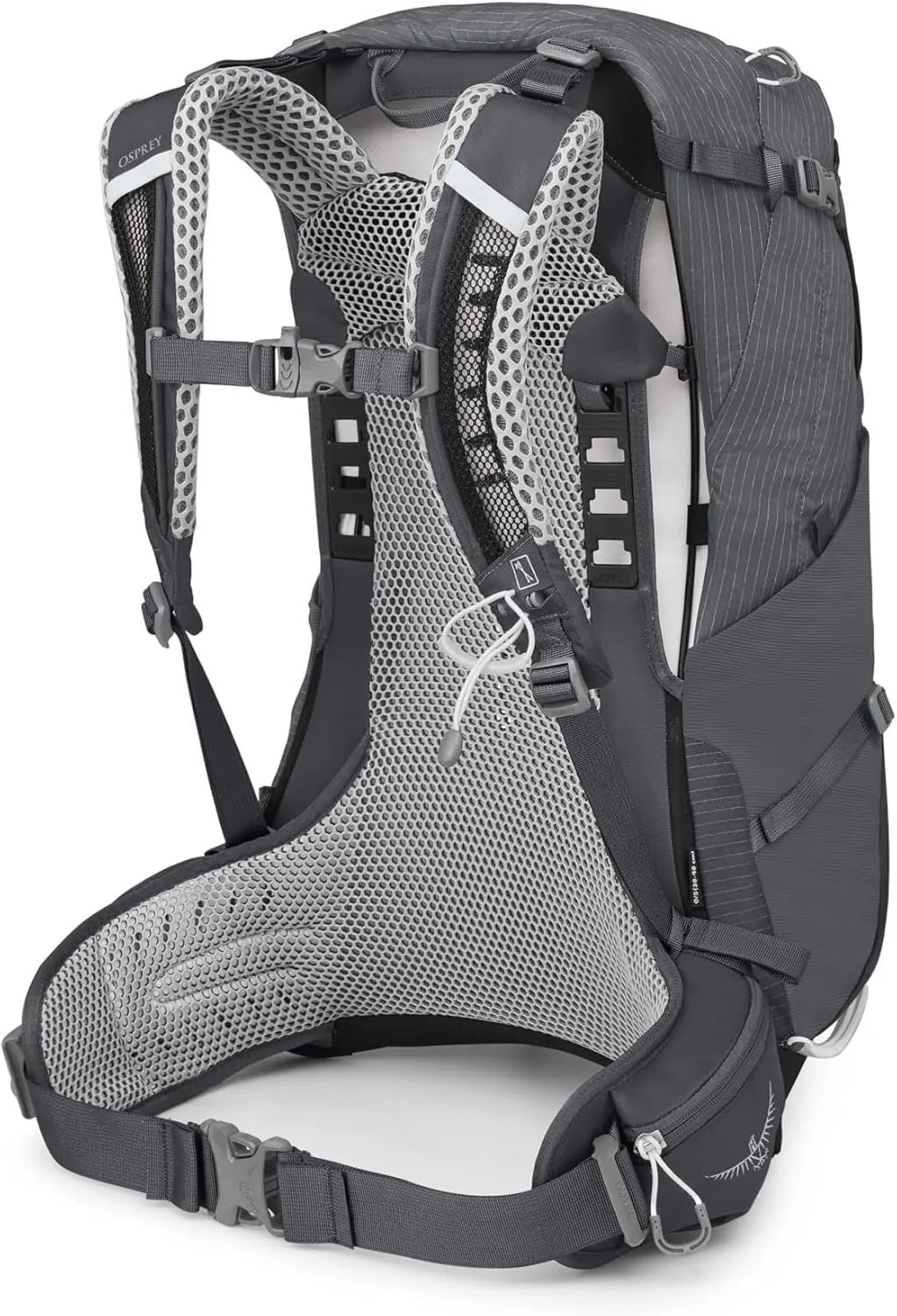 Osprey Sirrus 24L Women's Hiking Backpack, Tunnel Vision Grey