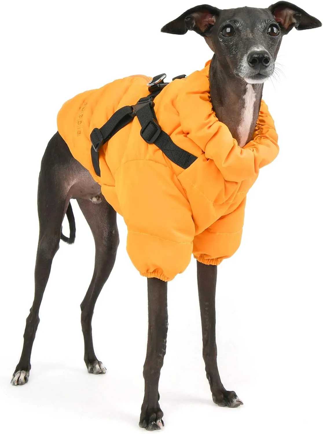 Puppia Soft Jumper - Orange - XL