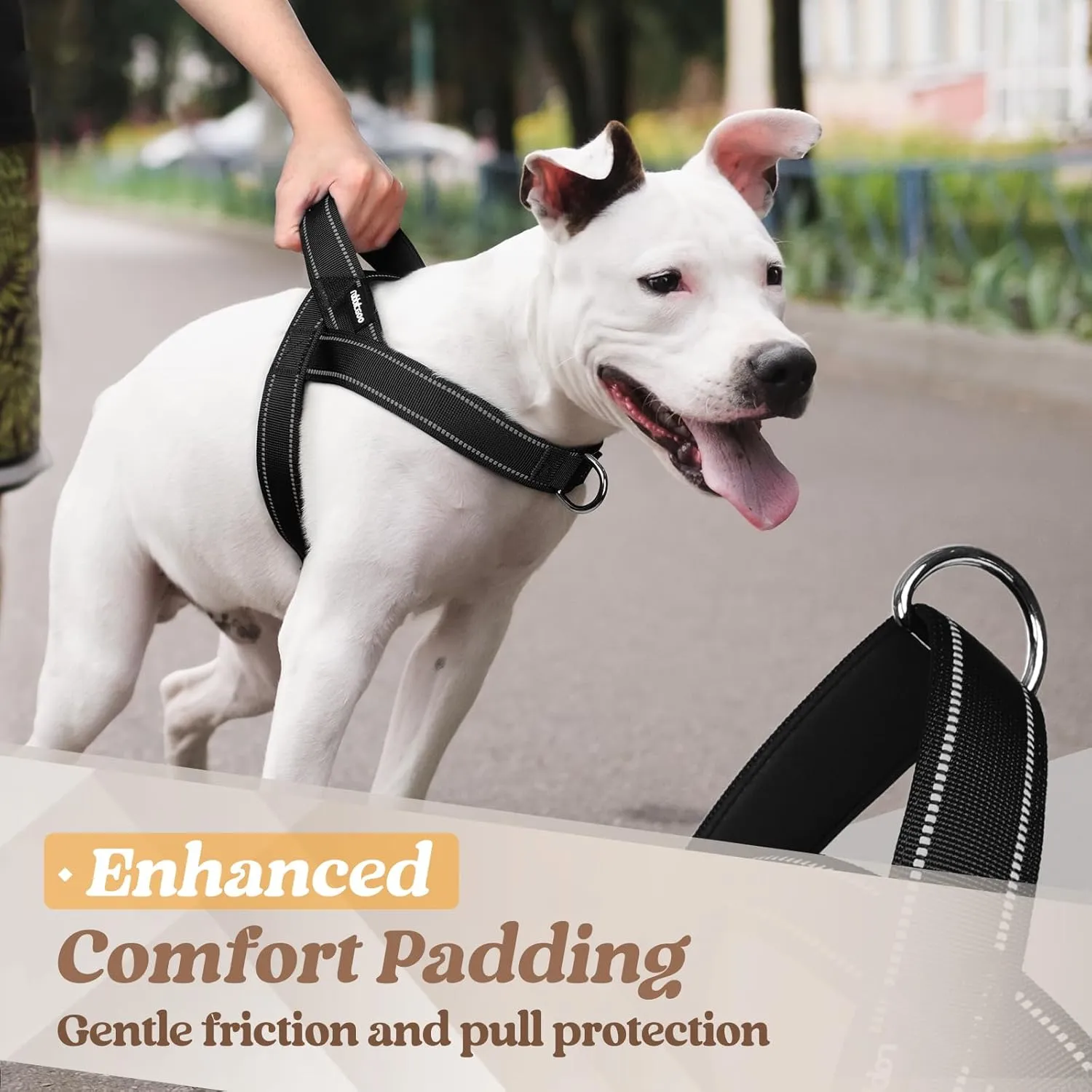 rabbitgoo Dog Harness No Pull, Quick Fit for Medium Sized Dog with Soft Padded Handle, Chest Adjustable Reflective Pet Vest, No Choke Escape Proof for Walking Training, Black M