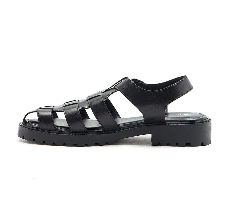 Schmitt-Black