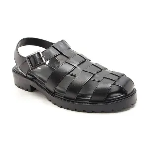 Schmitt-Black